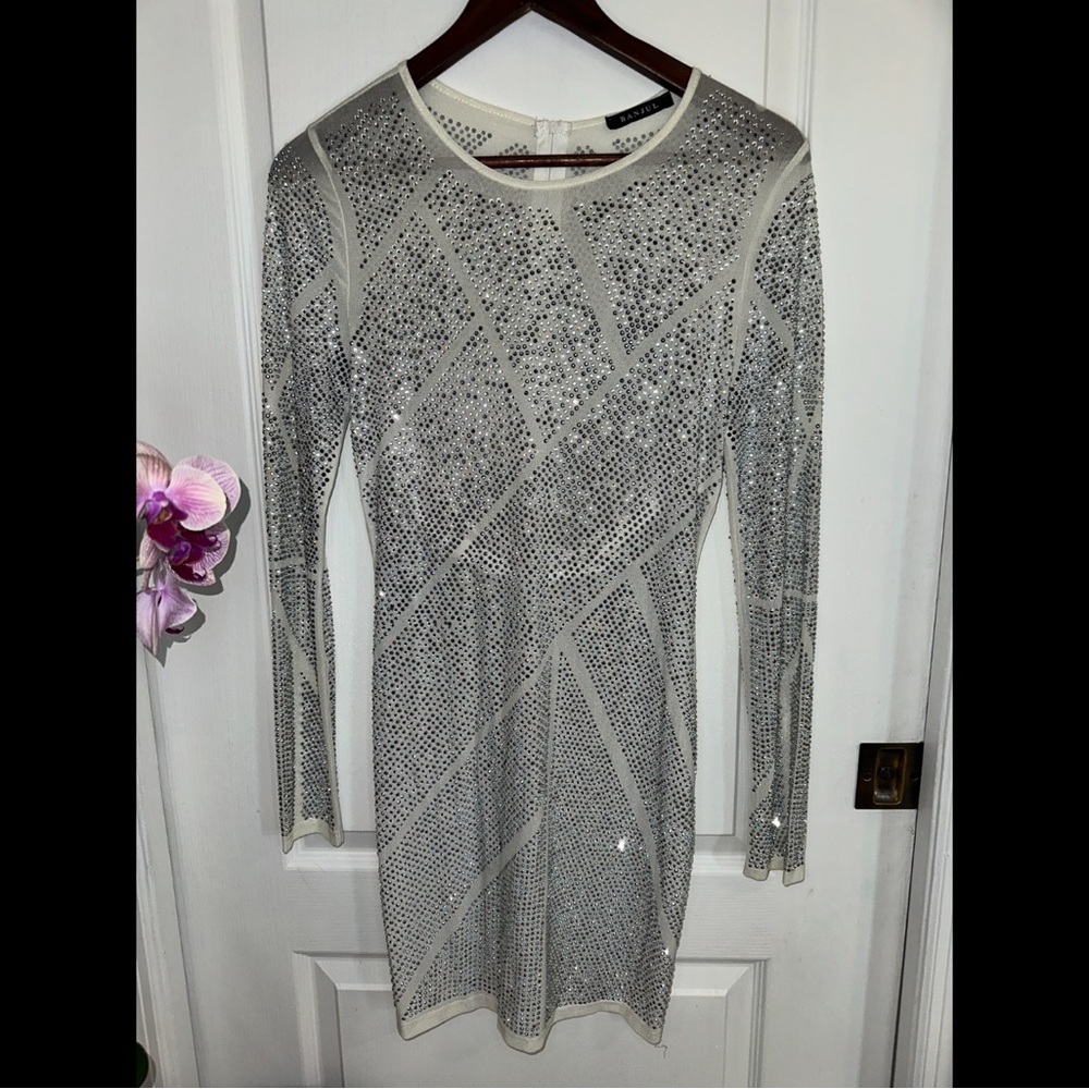Banjul Dazzling Sheer Dress Encrusted With Rhinestone (M)